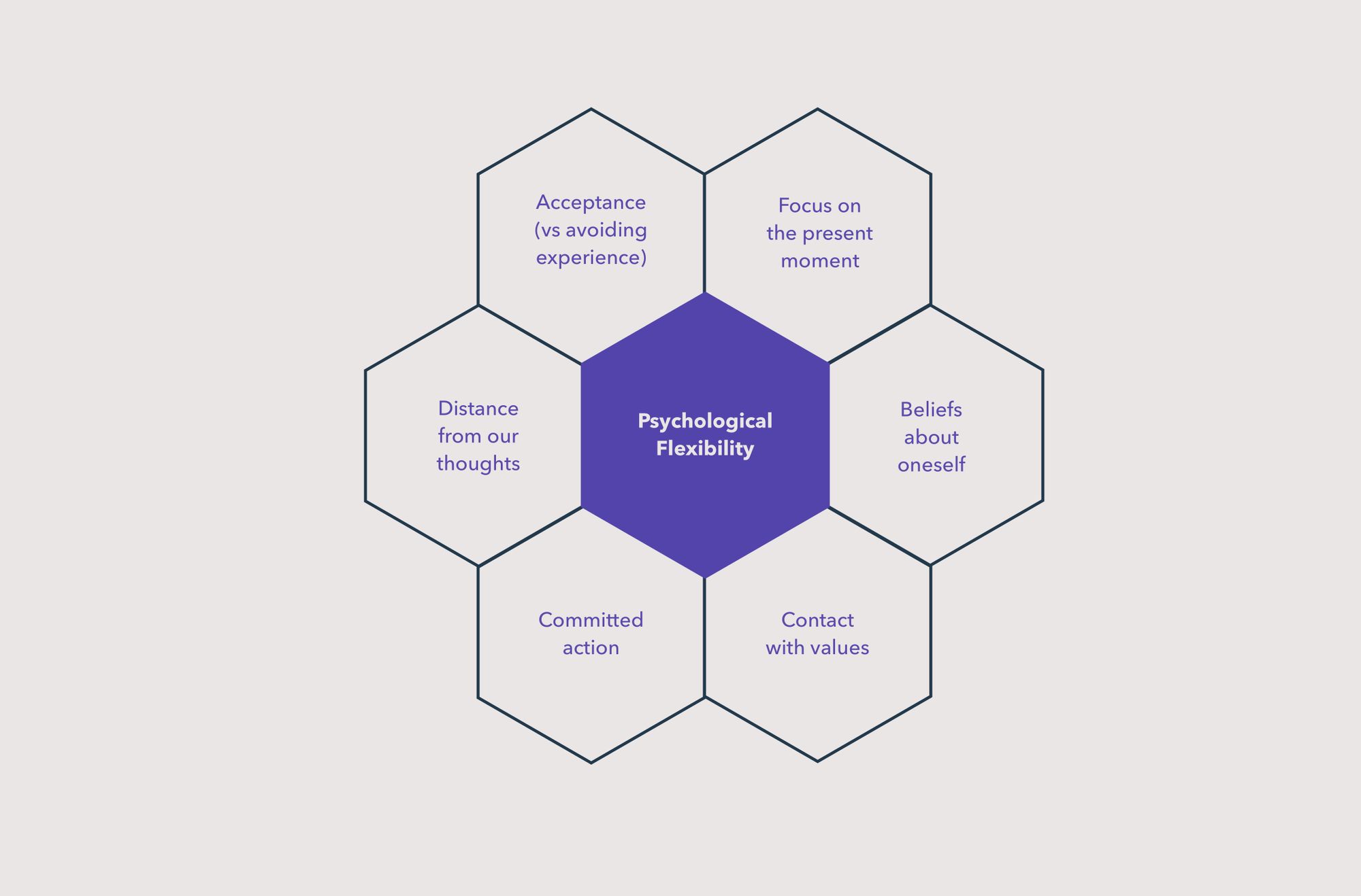 Hexaflex honeycomb model of psychological flexibility terms