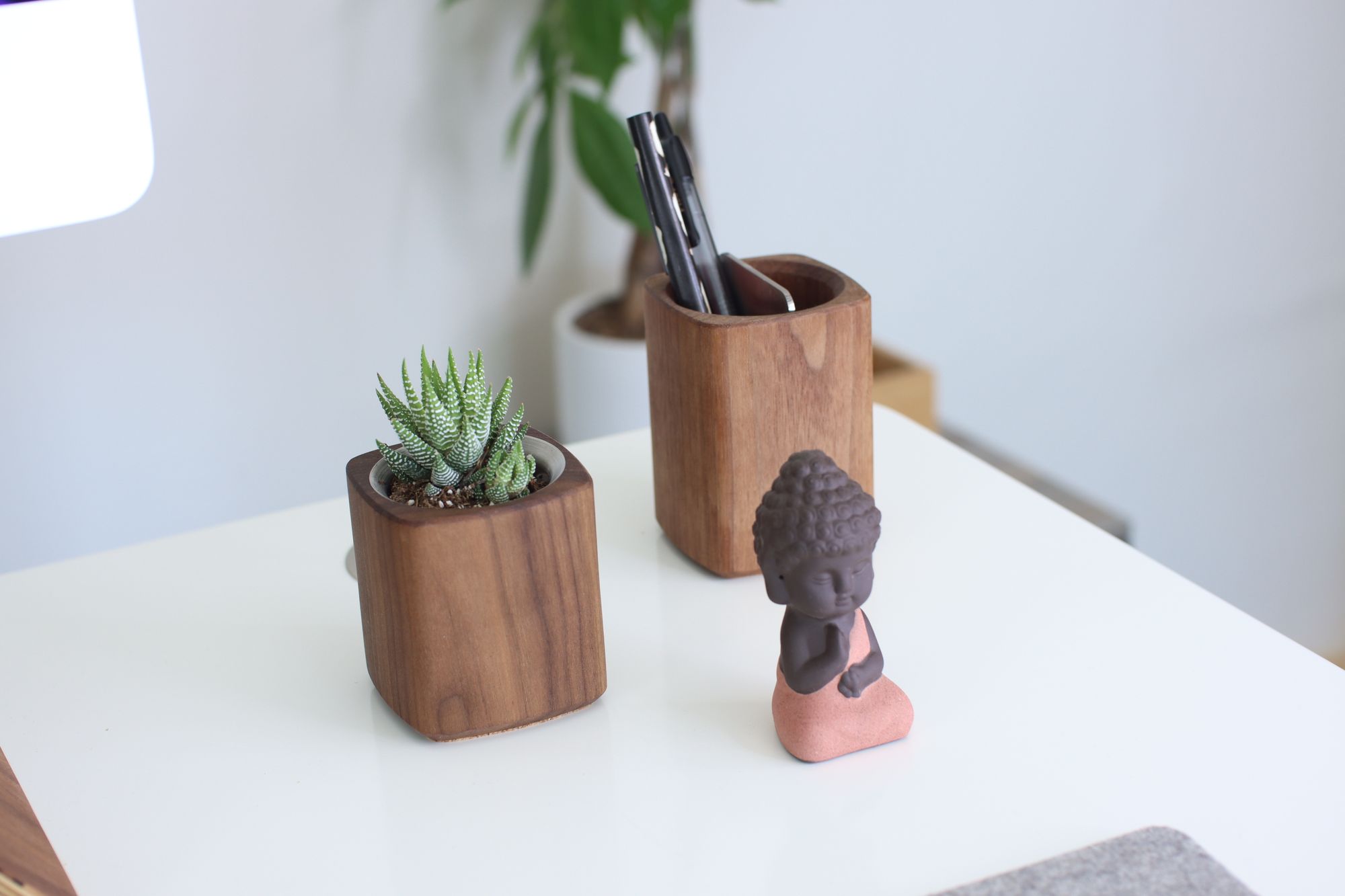 Walnut planter with green succulent, pen holder and small ceramic buddha