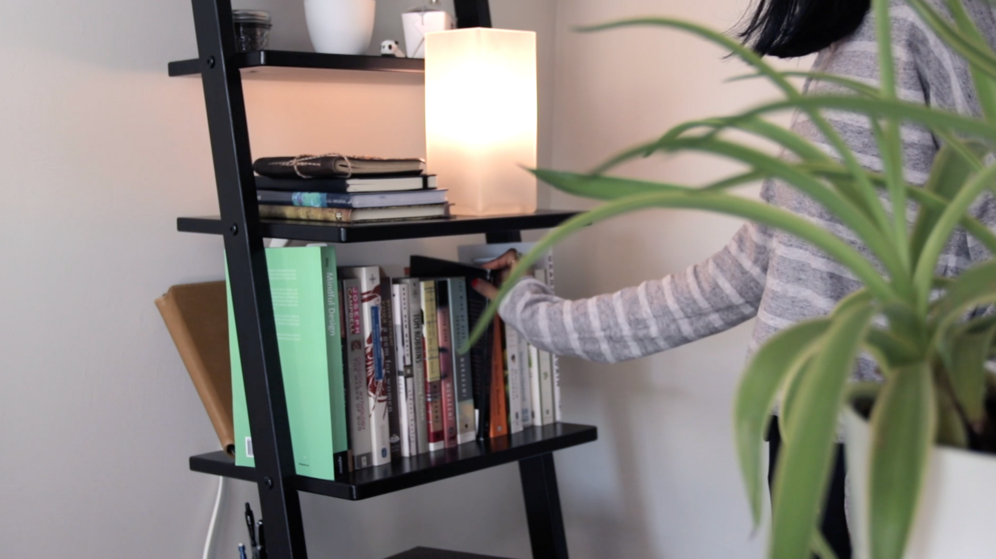 Black ladder bookcase with books, a green plant and small light