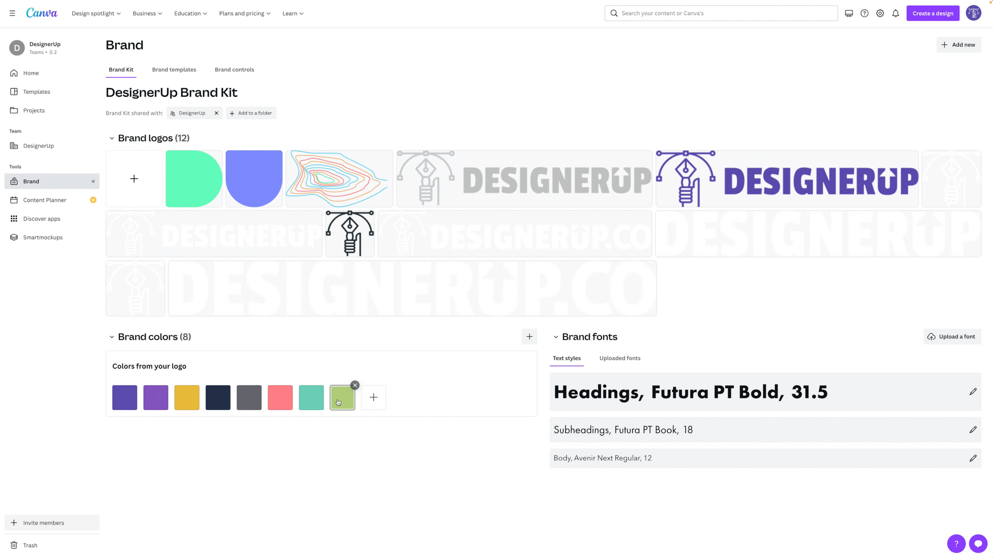 DesignerUp's color palette, typography and logo